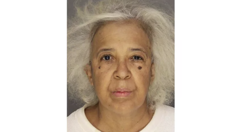 64-year-old female paid boys to shovel snow, got them drunk, attempted to inappropriately touch one of them: Police