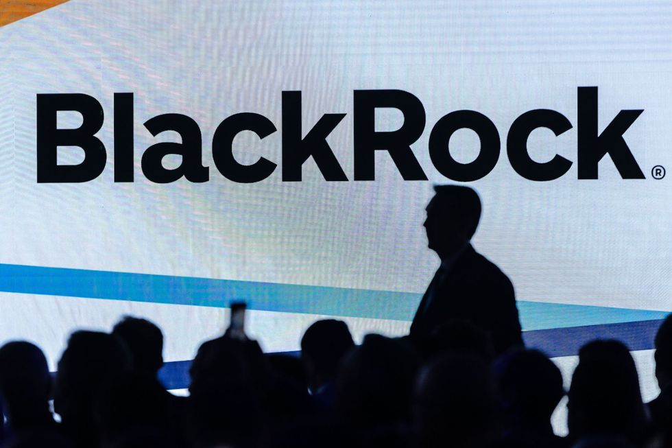 BlackRock pulls video ad that briefly shows attempted Trump assassin in high school