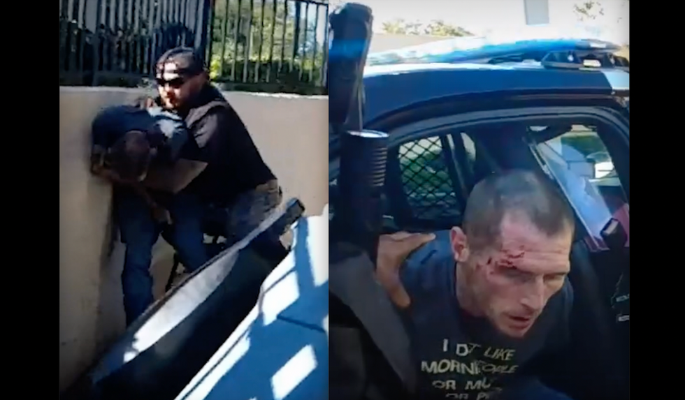 Blaze News original: 10 instances when everyday people stood up to violent carjackers and thwarted their plans