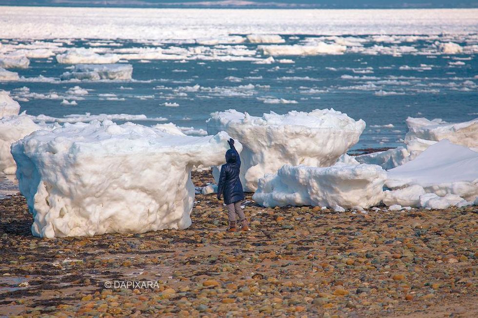 Meteorologist Says 'Once-in-a-Generation' Event Is Underway in Cape Cod