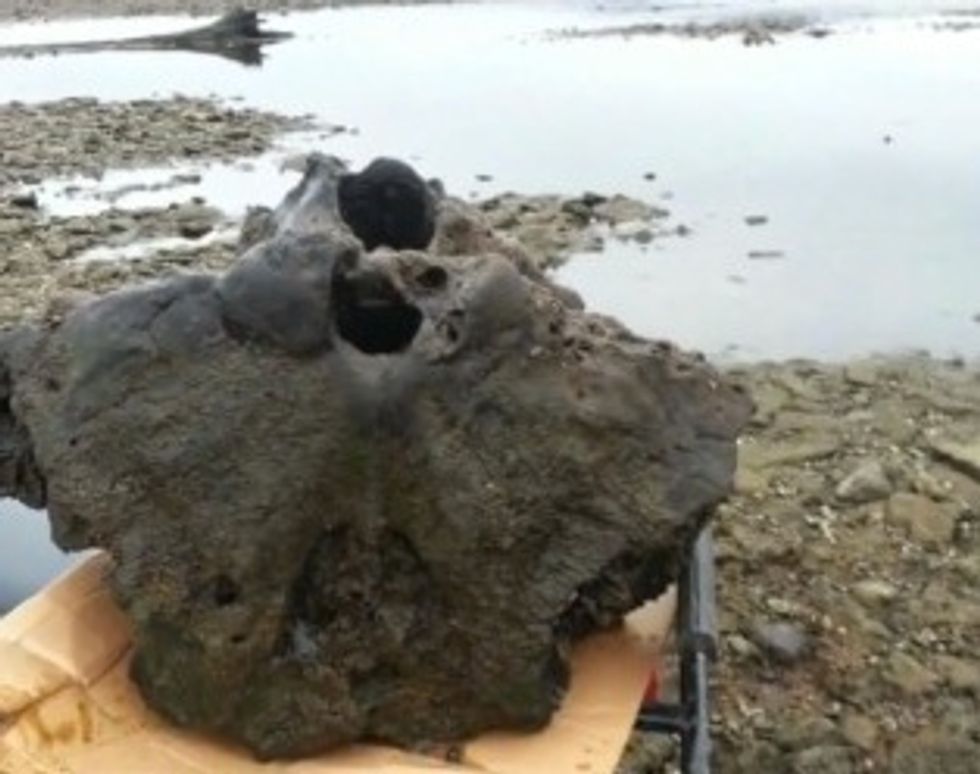 See If You Can Figure Out What This Fisherman Snagged on His Line: 'It Was No Stump or Root