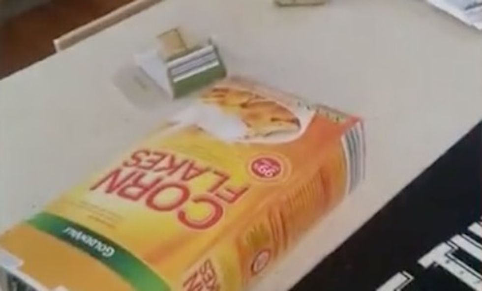 Australian Man 'Bolted for the Door' When He 'Peeked in' and Saw What Was Hidden Inside Cereal Box