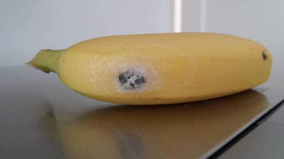 Woman Gets Terrifying Surprise When She Notices Something Odd About Her Banana: 'I Was So Scared