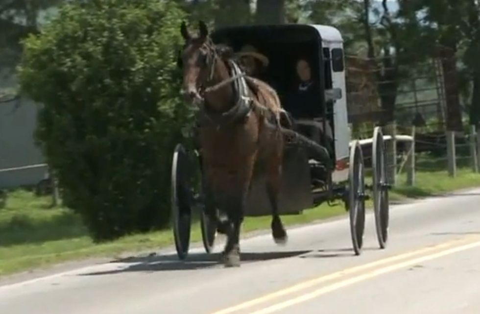 UPS Truck Hits Horse and Buggy in Central Pennsylvania, Killing Mother and Her 8-Year-Old Boy