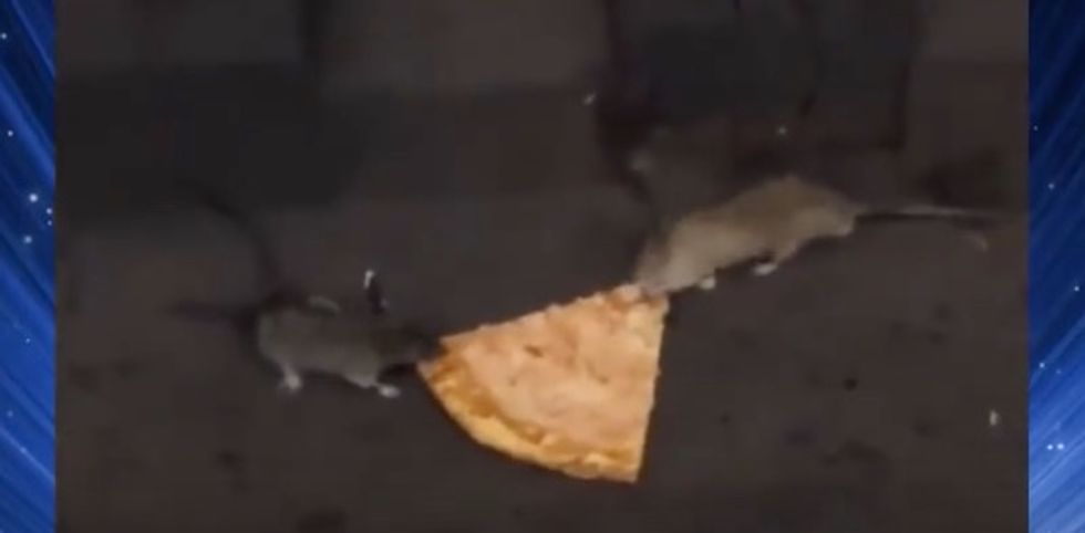 Forget 'Pizza Rat' — NYC presents two subway rats fighting over a slice