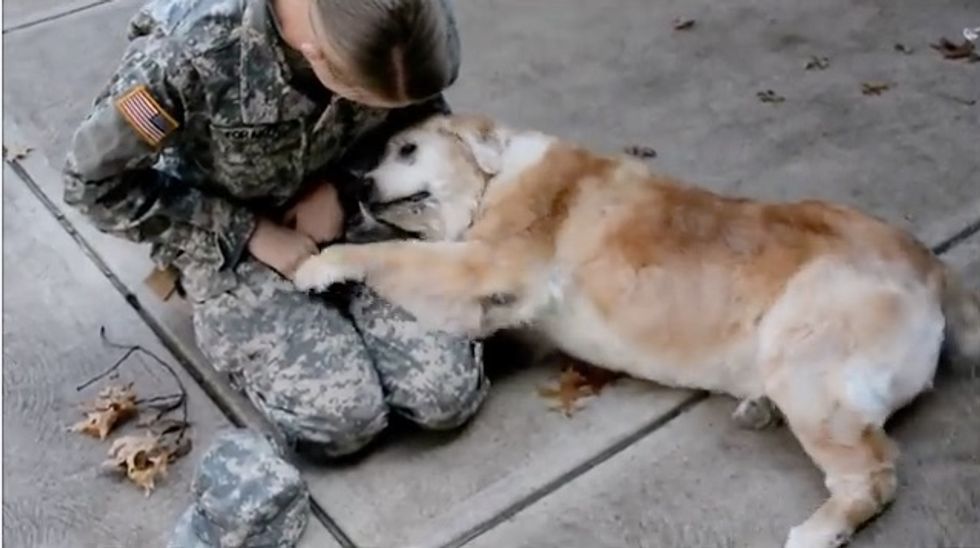 Watch Elderly Dog's Reaction When Soldier Finally Comes Home