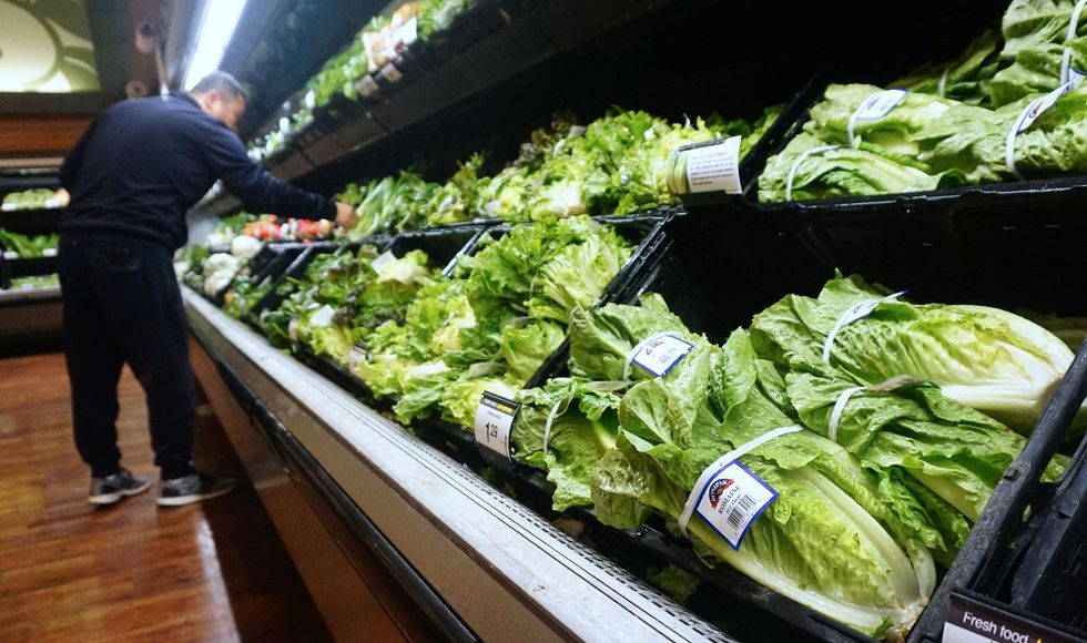 The E. coli outbreak from romaine lettuce is finally over. But what caused it?