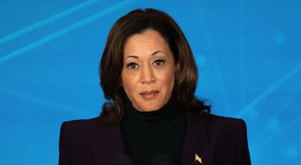 Biden mega donor sends Democrats prescient warning about running Kamala Harris: 'Be careful what you wish for'