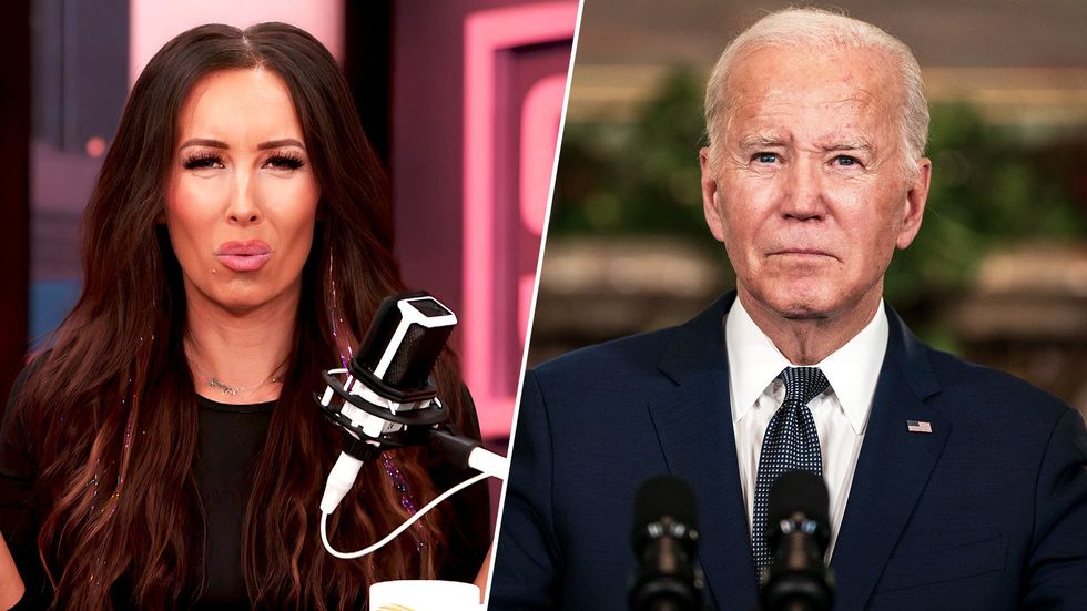 Did Democrats stage a COUP to remove Biden?