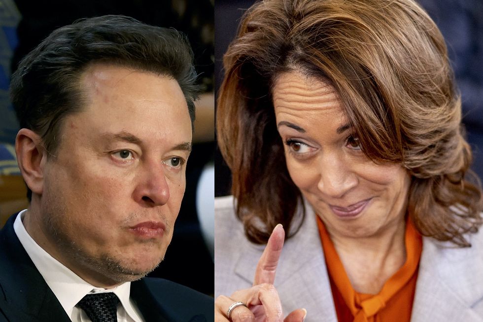 Elon Musk investigating claims Harris campaign is manipulating community notes to skew fact-checking on X