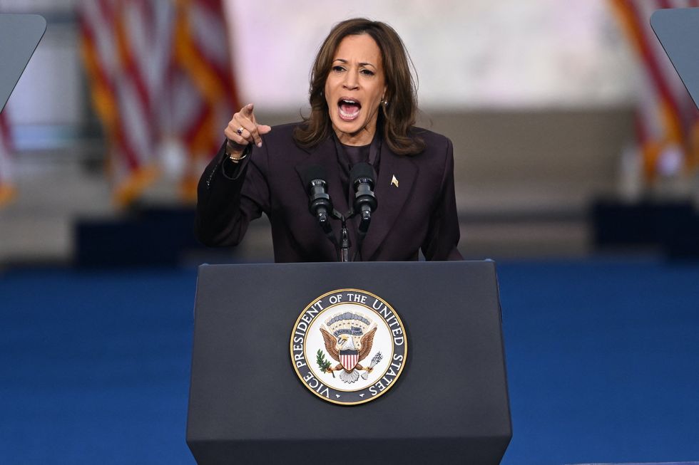 Kamala Harris finally concedes election in speech after devastating election loss: 'Do not despair'