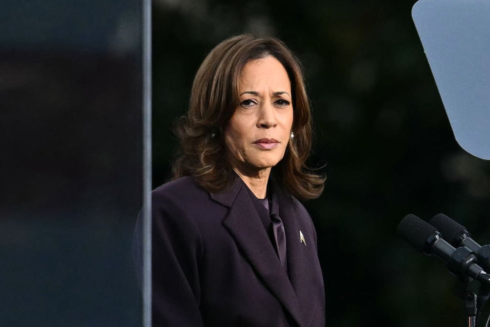 DNC official blasts Harris campaign as '$1 billion disaster' while Trump trolls Democrats' lavish spending