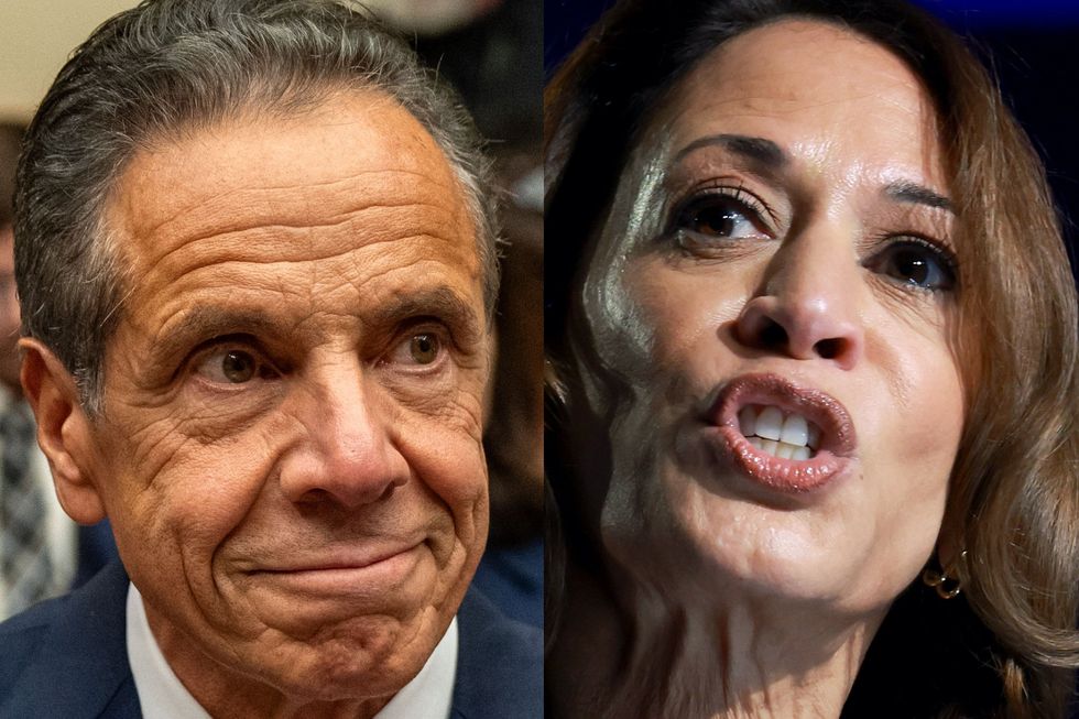 Andrew Cuomo blames 'elitist, arrogant, extremist left' for Harris loss: 'You're in a hole, stop digging'