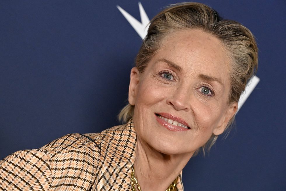 Sharon Stone delivers unhinged rant against 'ignorant' and 'arrogant' Americans over election