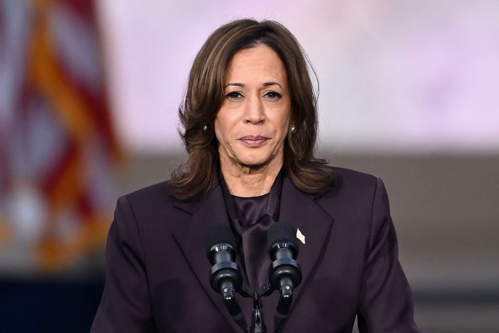 Obama ally pushes Raskin plan for Congress to nullify election, install Harris: 'Insurrectiony'