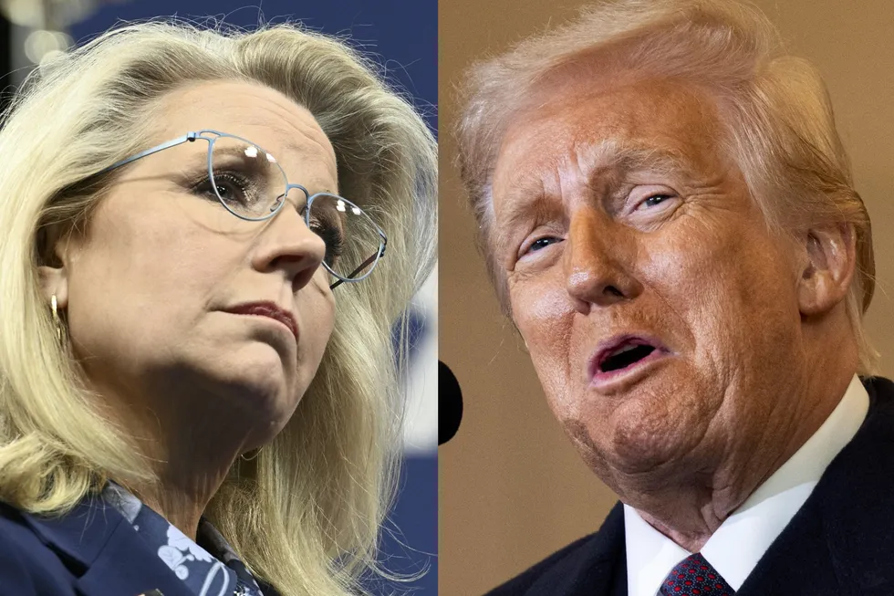 Liz Cheney responds to Trump calling her a 'crying lunatic' during speech on Inauguration Day