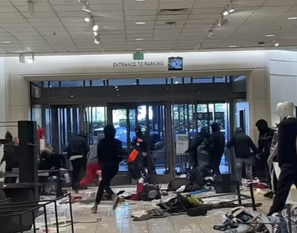 Video captures mob of thieves hit Nordstrom in LA