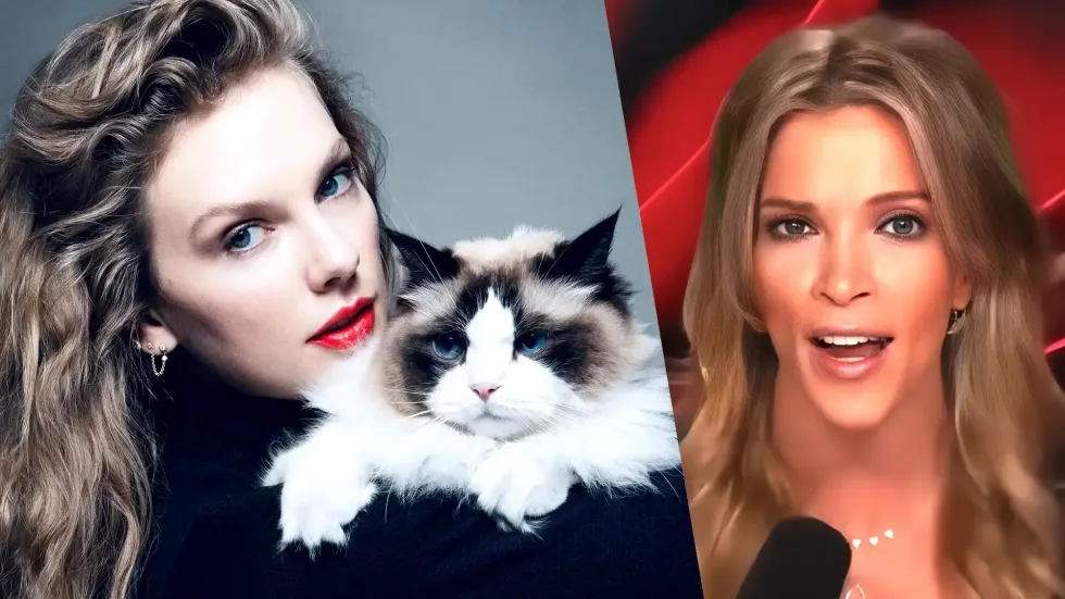 Megyn Kelly absolutely OBLITERATES Taylor Swift: ‘The epitome of elite snobs’