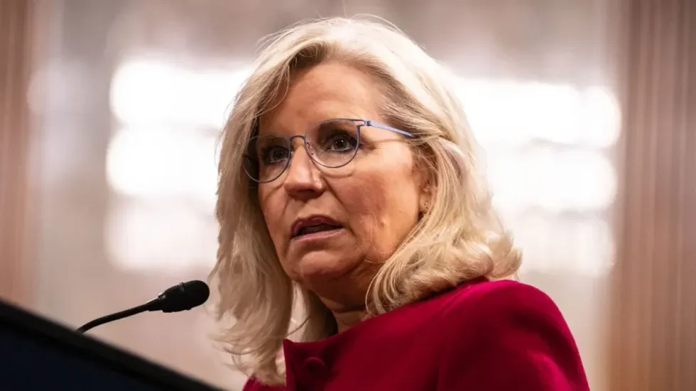 Trump drags Liz Cheney as she stumps for Kamala Harris: 'Stupid warhawk'