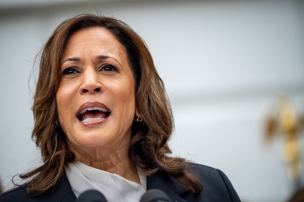 Kamala Harris appears to drop hint about her possible pick for vice president