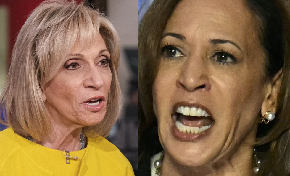 Liberals implode after MSNBC's Andrea Mitchell says Kamala Harris needs more interviews to be taken seriously