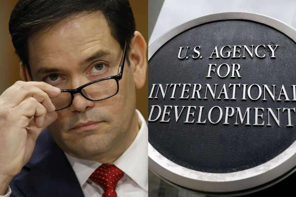 Marco Rubio takes over USAID after Elon Musk says the department has 'got to go'