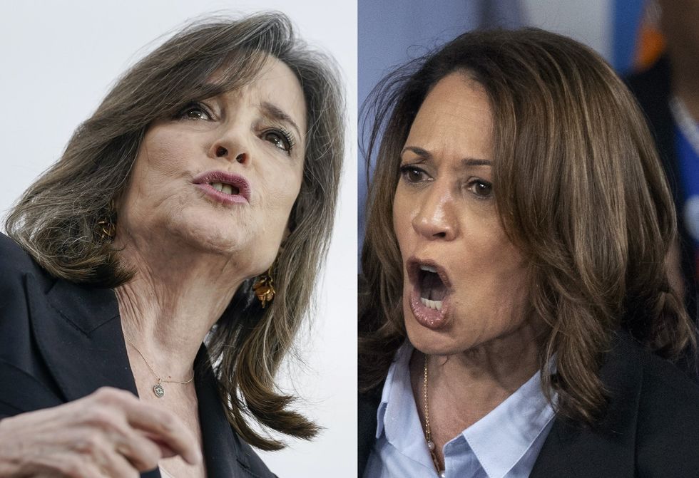 Marianne Williamson predicts 'eating cats issue' will hurt Dems in election: 'Haitian voodoo is real'