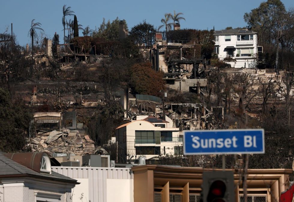 Meet the man who fought off the Los Angeles wildfires with a garden hose