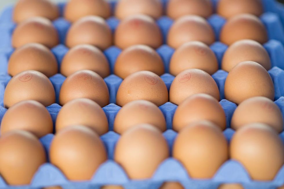 Officials warn that already soaring egg prices will increase this year — here's why Americans are facing an egg crisis