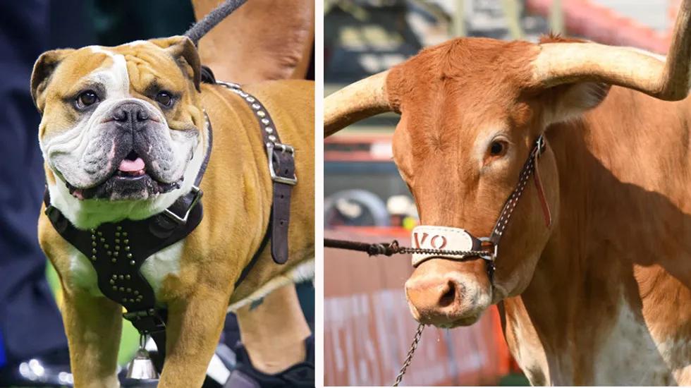 PETA sends letter to SEC demanding no animal mascots in college football, only 'willing human mascots'