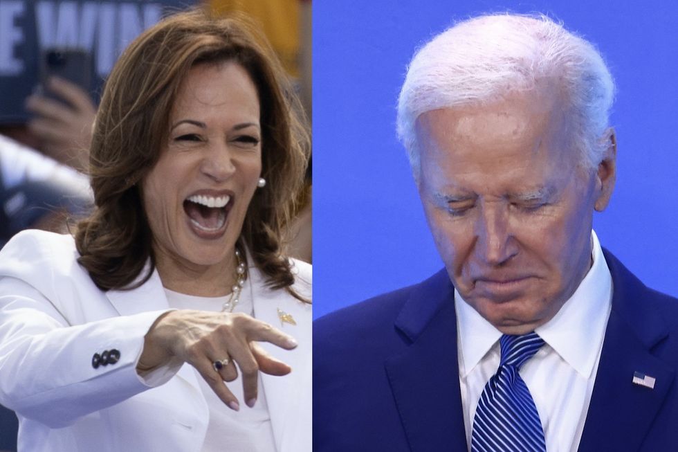 Poll finds rebound for Democrats on economics after Biden steps down, but pollster warns 'their worries aren't over'