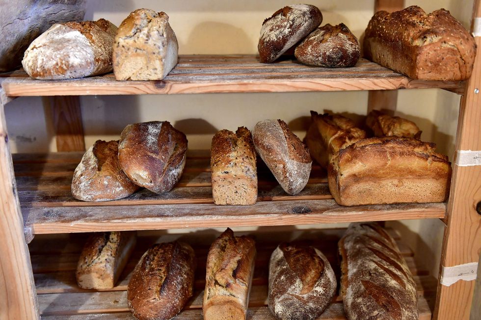 Thankful: How learning a new skill creates bread — and patience