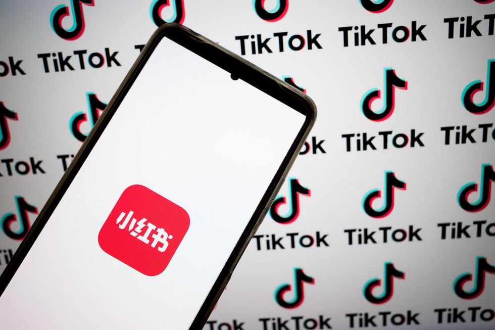 TikTok users download another Chinese app to mock spying concerns before ban: 'We're here to spite our government'