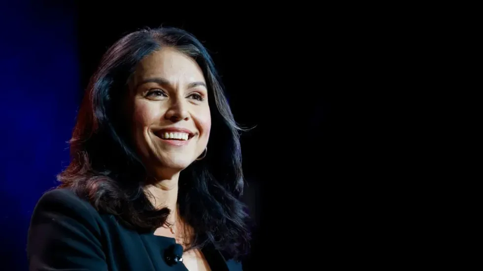 Tulsi Gabbard has national security 'experts' worried: 'DNI has access to every single secret'