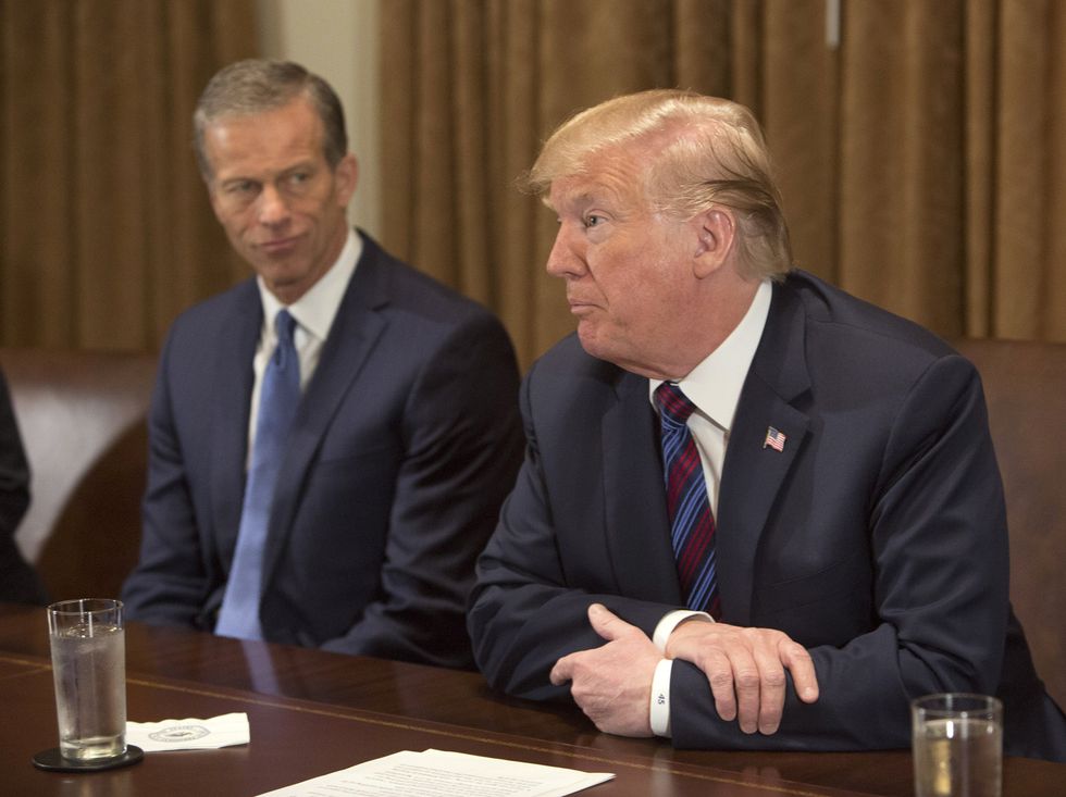 Thune works to smooth out rocky relationship with Trump